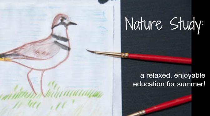 Nature Study: a relaxed, enjoyable education for summer!- how nature study can cover phys ed, science, language arts, and art!