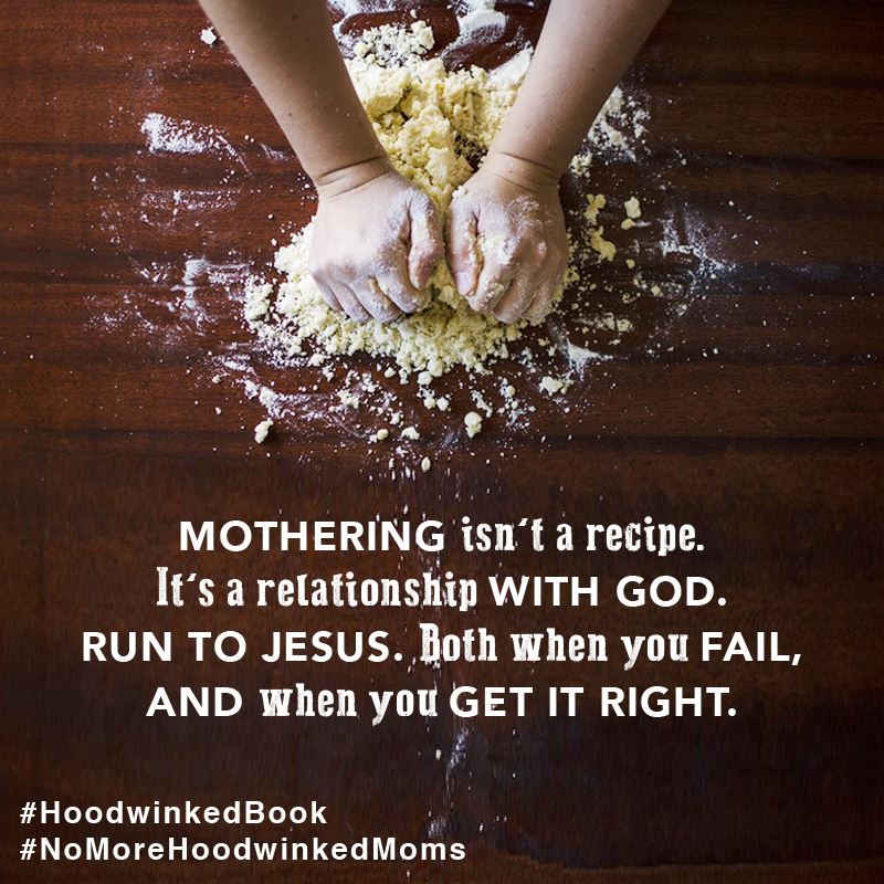 Motherhood isn't a recipe - Hoodwinked Book Review
