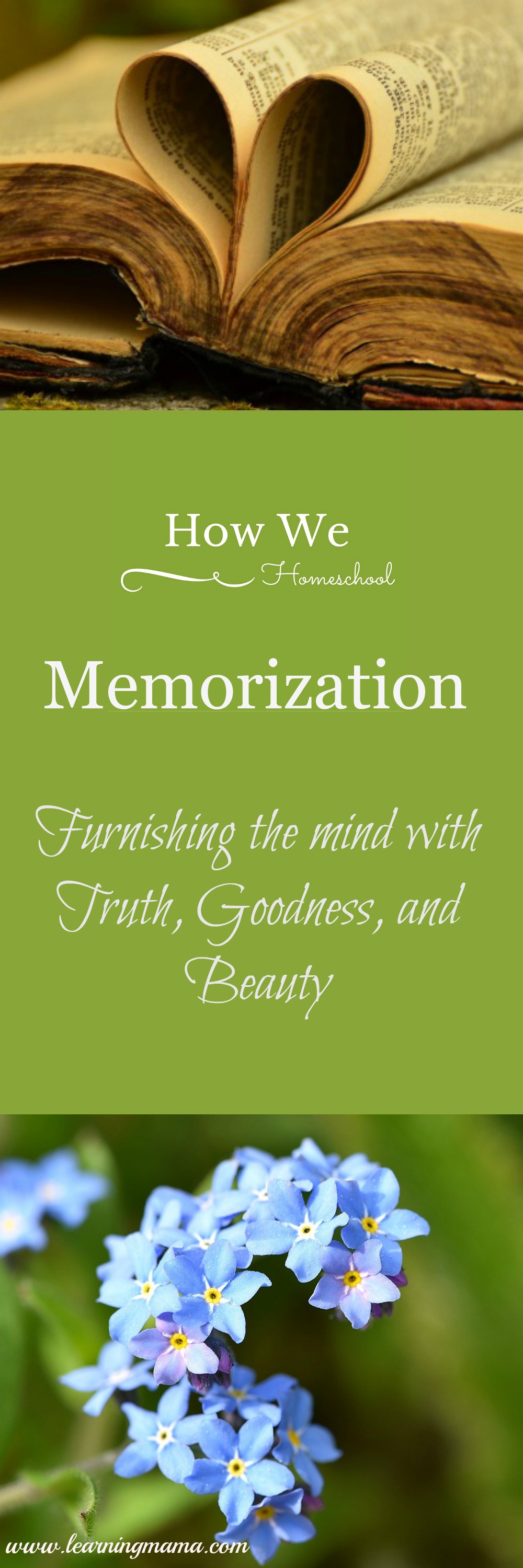 Memorization is NOT an antiquated or useless educational method! Memorization furnishes the mind with valuable ideas