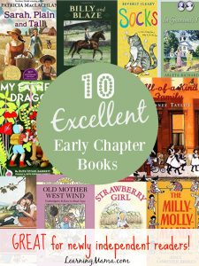 Your child has moved beyond the levelled readers, now what? There are much better choices out there than the magic fairy under pant variety! Check out this list of EXCELLENT early chapter books that will build fluency AND a love of good books in your young reader! 