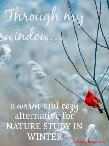 Keep warm this winter by doing nature study through your window!