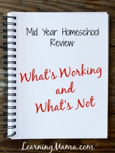 Why You Need a Mid Year Homeschool Review
