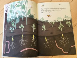Using picture books to inspire nature study: Up in the Garden and Down in the Dirt {Book Review}