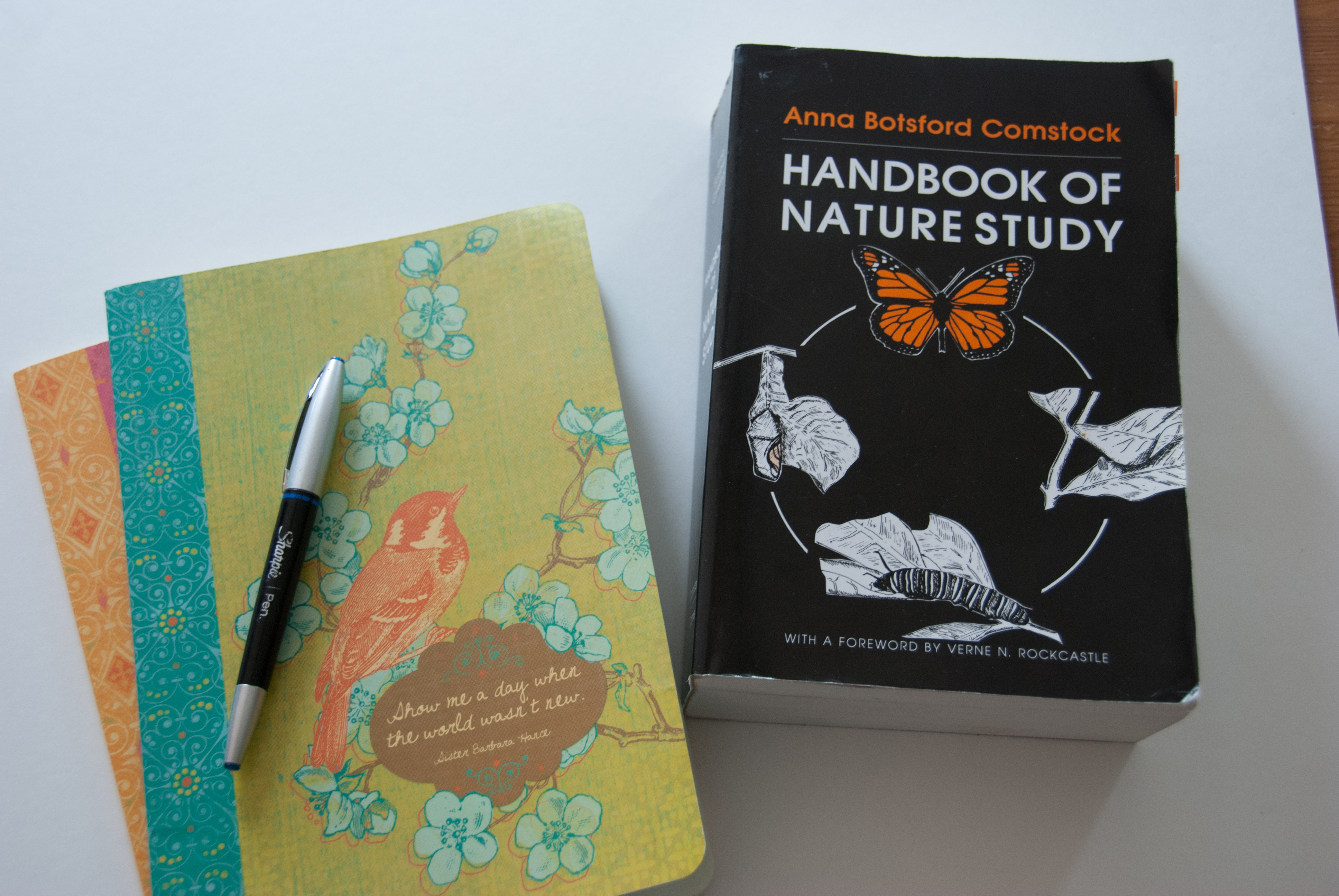 Getting Started (Again) With Nature Notebooks