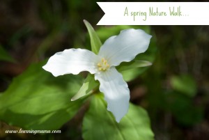 Spring Nature Walk