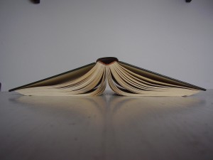 Top 5 Homeschooling Books
