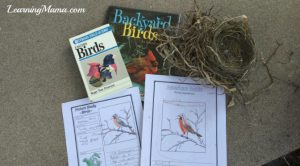 Our Backyard Birds notebooks - NotebookingPages.com Review