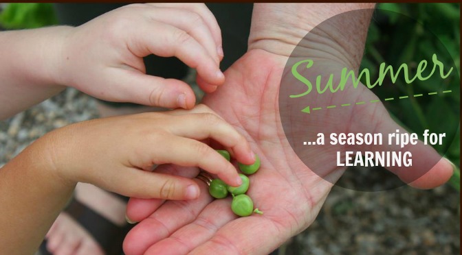 Summer: A Season Ripe with Learning!