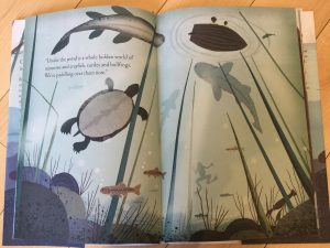 Using picture books to inspire nature study - Over and Under the Pond {Book Review}
