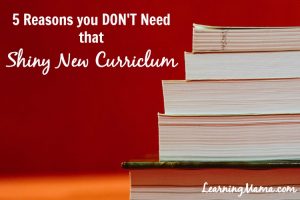 5 Reasons You Don't Need that Shiny New Curriculum