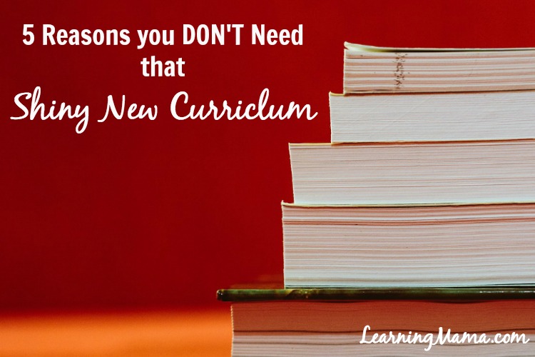 5 Reasons You Don’t Need That Shiny New Curriculum