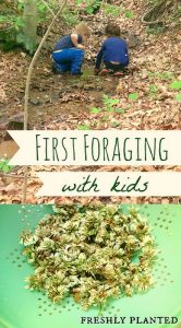 Things to do outside with your kids this summer: forage for wild edibles!