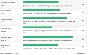 Nessy Learning's Dyslexia Screening Tool