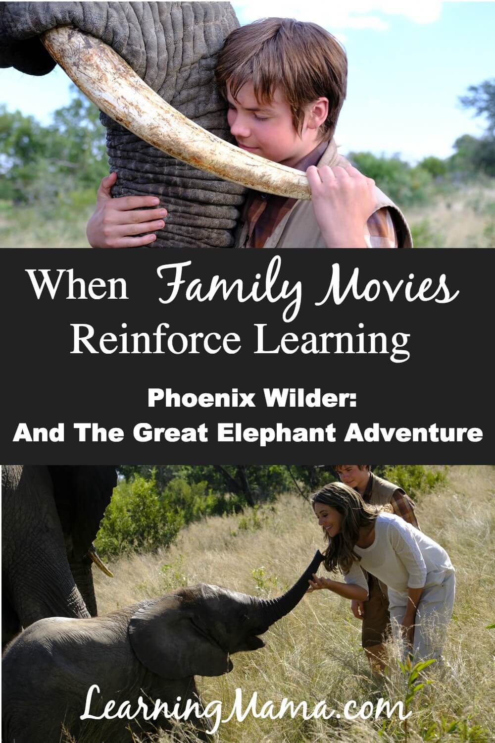 Celebrate World Elephant Day with a family movie that reinforces learning! Phoenix Wilder: And The Great Elephant Adventure