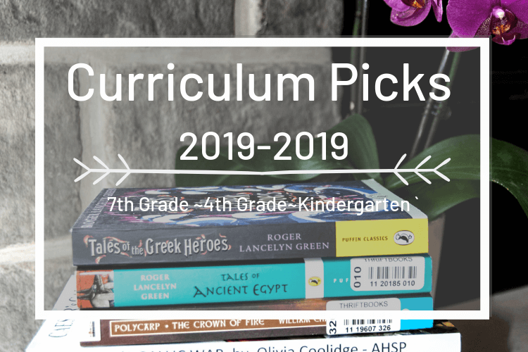 Our Relaxed Classical Homeschool Curriculum –2019/2020 Picks!